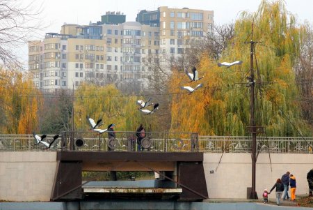 Разноцветная осень в парке Победы (фоторепортаж)