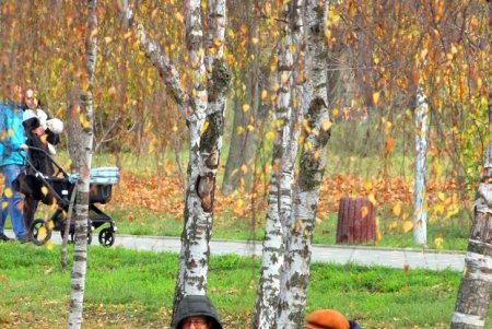 Разноцветная осень в парке Победы (фоторепортаж)