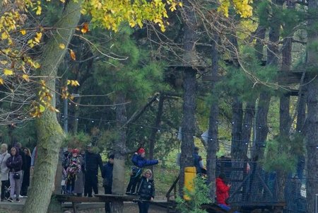 Разноцветная осень в парке Победы (фоторепортаж)