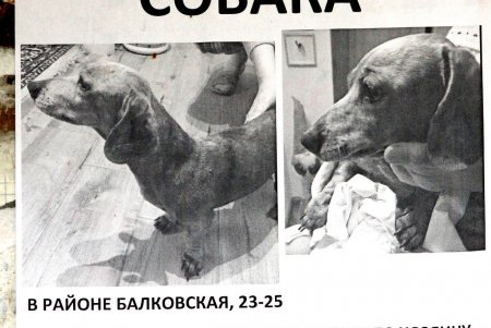 Ольгиевский спуск: названный в честь княгини, сохранивший столетние здания и свой колорит (фоторепортаж) 