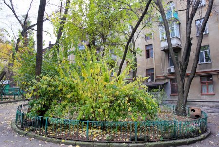 Ольгиевский спуск: названный в честь княгини, сохранивший столетние здания и свой колорит (фоторепортаж) 