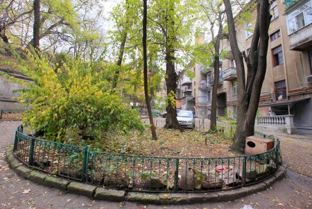 Ольгиевский спуск: названный в честь княгини, сохранивший столетние здания и свой колорит (фоторепортаж) 