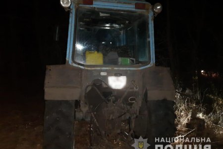 Под покровом ночи двое жителей Раздельнянского района спилили более 70 деревьев в лесополосе (фото)