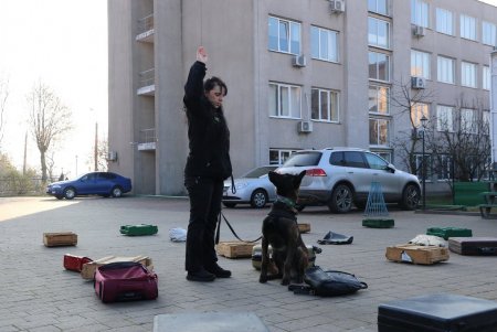 Инспектор одесской таможни с псом Боцманом на отлично прошли спецподготовку по поиску контрабанды (фото)