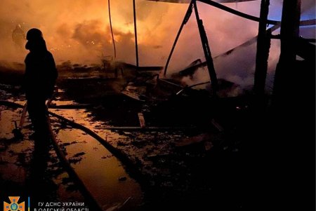 На территории базы отдыха в Южном горели деревянные домики (фото)