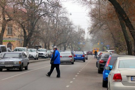 Улица Пастера - Мекка науки, на которой жили и работали выдающиеся ученые (фоторепортаж)