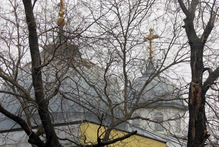 Улица Пастера - Мекка науки, на которой жили и работали выдающиеся ученые (фоторепортаж)