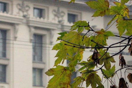 Улица Пастера - Мекка науки, на которой жили и работали выдающиеся ученые (фоторепортаж)