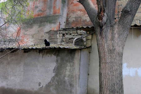 Улица Пастера - Мекка науки, на которой жили и работали выдающиеся ученые (фоторепортаж)