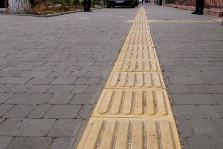 Улица Пастера - Мекка науки, на которой жили и работали выдающиеся ученые (фоторепортаж)