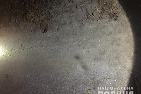 Правоохранители нашли подозреваемого в совершении смертельного ДТП в Раздельнянском районе (фото)