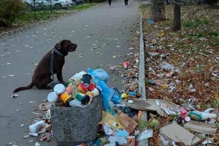 Неравнодушный одессит убирает мусор на клумбах и высаживает цветы (фото)