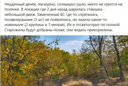 Вниманию правоохранителей: живодер хвастает в соцсетях убийством собак (фото)