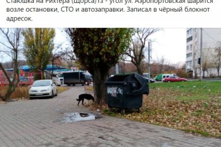 Вниманию правоохранителей: живодер хвастает в соцсетях убийством собак (фото)