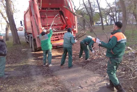 В Одессе проводятся осенние работы по высадке зеленых насаждений и вывозу опавших листьев (фото)