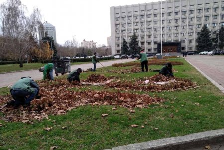 В Одессе проводятся осенние работы по высадке зеленых насаждений и вывозу опавших листьев (фото)