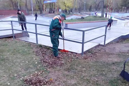 В Одессе проводятся осенние работы по высадке зеленых насаждений и вывозу опавших листьев (фото)