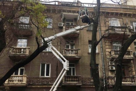 В Одессе проводятся осенние работы по высадке зеленых насаждений и вывозу опавших листьев (фото)