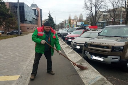 В Одессе проводятся осенние работы по высадке зеленых насаждений и вывозу опавших листьев (фото)