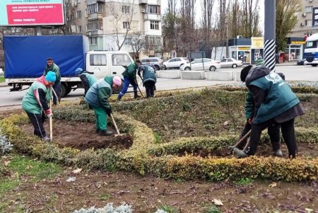 В Одессе проводятся осенние работы по высадке зеленых насаждений и вывозу опавших листьев (фото)