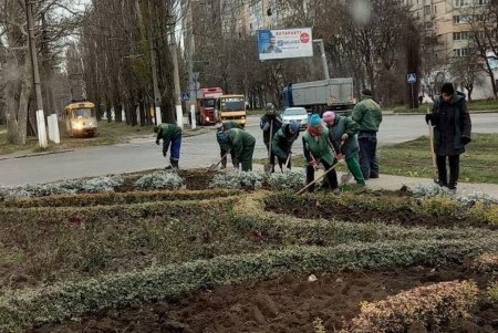 В Одессе проводятся осенние работы по высадке зеленых насаждений и вывозу опавших листьев (фото)