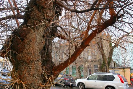 Пишоновская - улица контрастов: смесь старых малоэтажек и современных высоток (фоторепортаж)