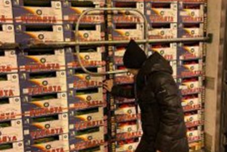 В Одесскую область из Турции пытались ввезти зараженные нитратами кабачки (фото)