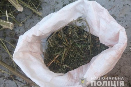 На территории региона полиция выявила шесть фактов производства и распространения наркотиков (фото)
