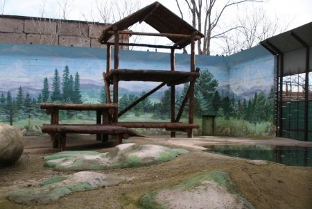 У медведей одесского зоопарка появилась современная игровая площадка (фото)