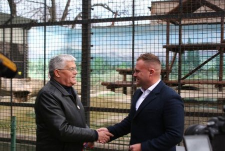 У медведей одесского зоопарка появилась современная игровая площадка (фото)