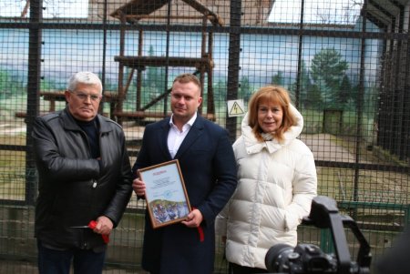 У медведей одесского зоопарка появилась современная игровая площадка (фото)