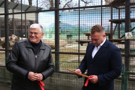 У медведей одесского зоопарка появилась современная игровая площадка (фото)