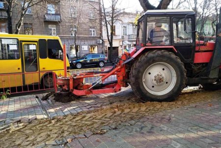 Озеленители высаживают в Одессе молодые крупномерные деревья и розы (фото)
