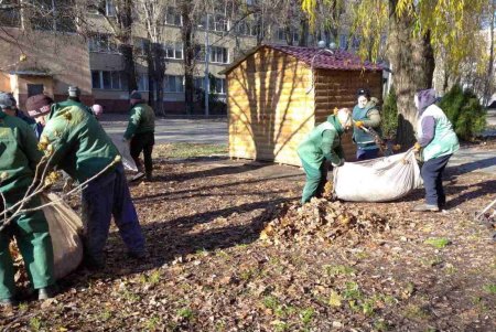 Озеленители высаживают в Одессе молодые крупномерные деревья и розы (фото)