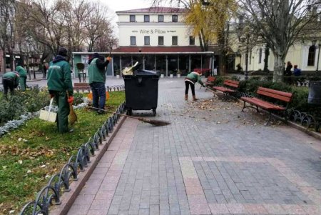 Озеленители высаживают в Одессе молодые крупномерные деревья и розы (фото)