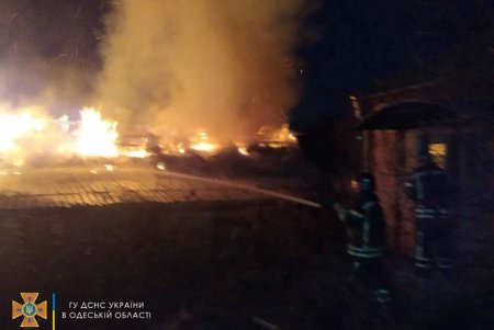 В Одесской области спасатели ликвидировали возгорание в летней кухне (фото) 
