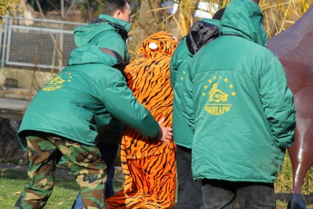 В Одесском зоопарке снимают новогодний видеоклип: главный герой символ предстоящего года (фоторепортаж)