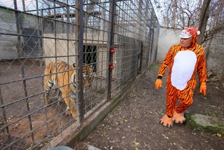 В Одесском зоопарке снимают новогодний видеоклип: главный герой символ предстоящего года (фоторепортаж)