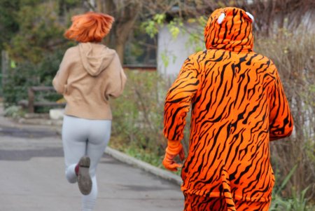 В Одесском зоопарке снимают новогодний видеоклип: главный герой символ предстоящего года (фоторепортаж)