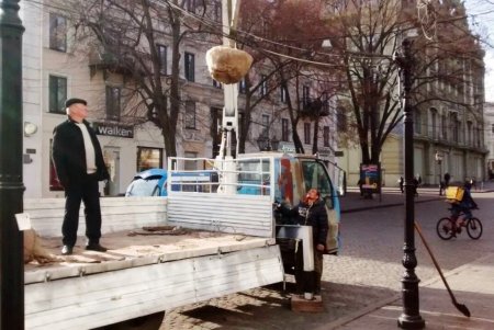 В центре города озеленители высадили липы, а в Суворовском районе — китайские розы (фото)