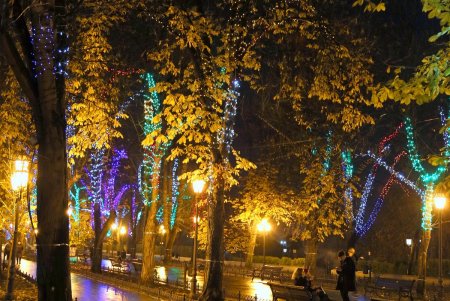 Приморский бульвар засиял новогодними огнями (фоторепортаж)