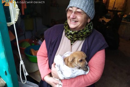 В Одесской области спасли щенка, застрявшего в сливной трубе (фото)