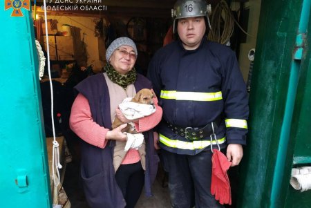 В Одесской области спасли щенка, застрявшего в сливной трубе (фото)