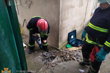 В Одесской области спасли щенка, застрявшего в сливной трубе (фото)