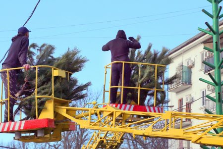 Новогоднюю елку устанавливают на Дерибасовской (фоторепортаж)