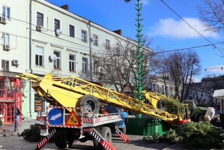 Новогоднюю елку устанавливают на Дерибасовской (фоторепортаж)