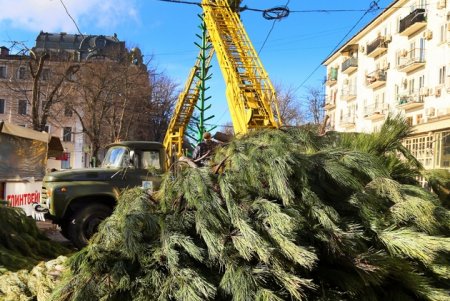 Новогоднюю елку устанавливают на Дерибасовской (фоторепортаж)