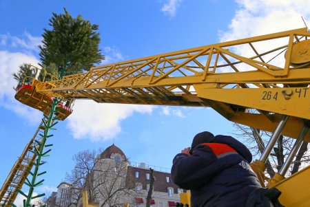 Новогоднюю елку устанавливают на Дерибасовской (фоторепортаж)