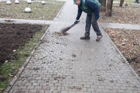 На Юго-Западном массиве озеленители высаживают клены, а на Мемориале 411-й батареи - жасмин (фото)