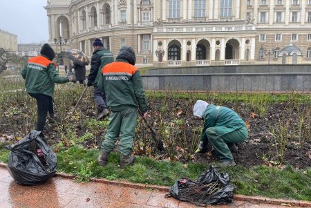 На Юго-Западном массиве озеленители высаживают клены, а на Мемориале 411-й батареи - жасмин (фото)